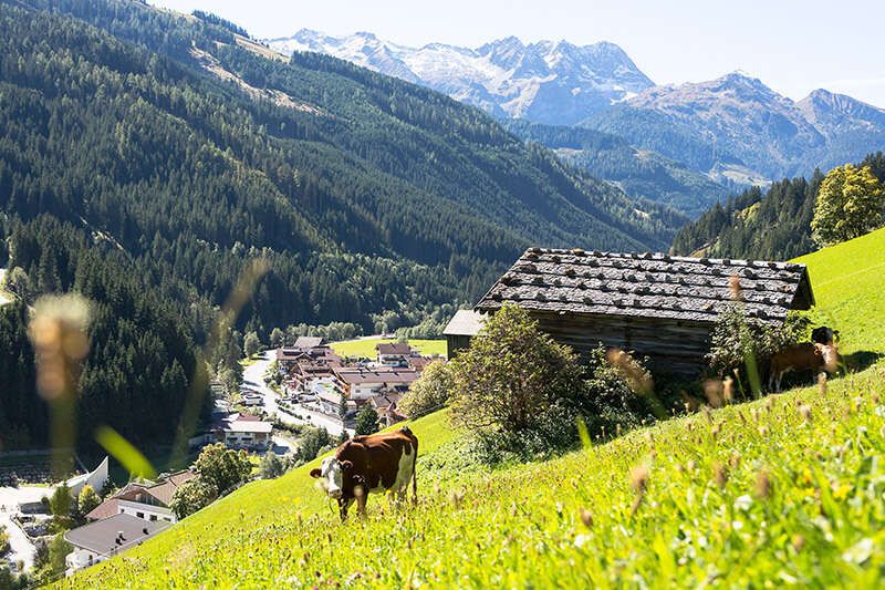 Gerlos im Sommer
